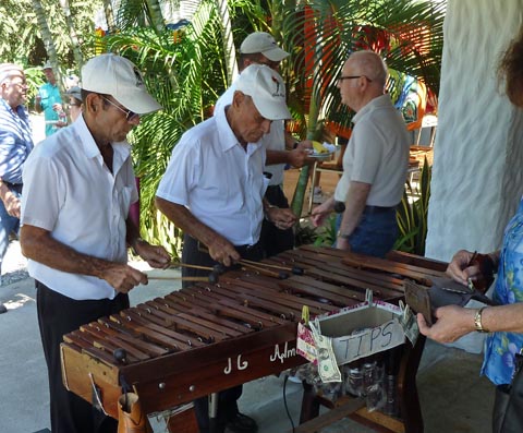 Marimba players