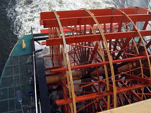 Paddle wheel